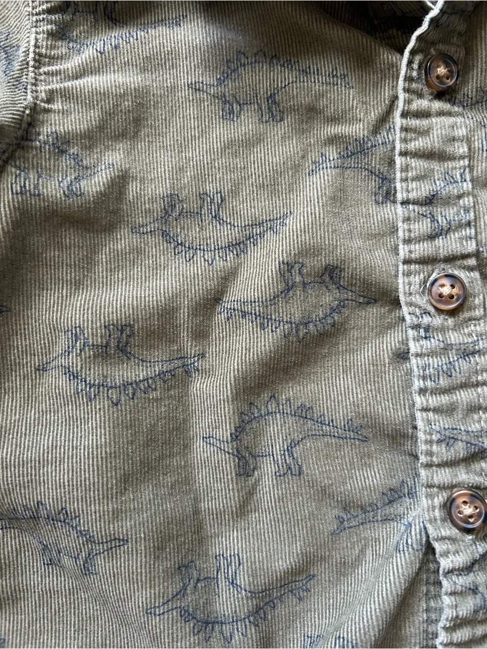 Carter's Olive Green Shirt and Tan Corduroy Pants Kids Matching Set